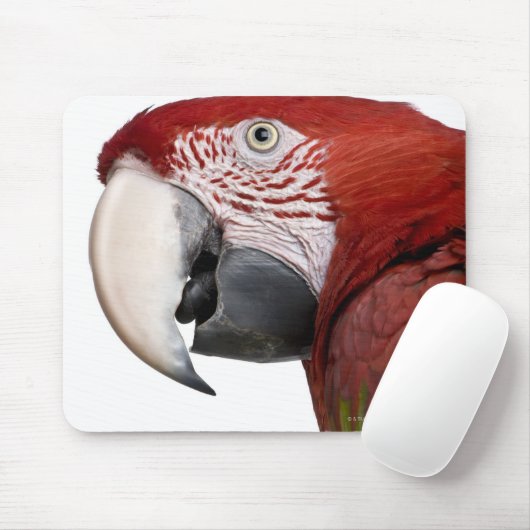 Rot-grüne Maca-Chloropterus Mousepad (Mit Mouse)