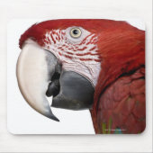 Rot-grüne Maca-Chloropterus Mousepad (Vorne)