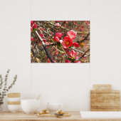 rot im Frühling Poster (Küche)