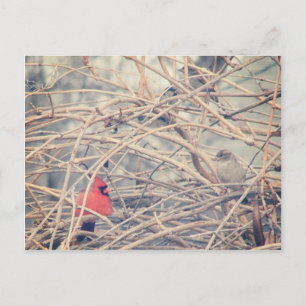Rot in einem trüben Winter von angelandspot. Postkarte