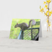 Rot Karte (Gelbe Blume)