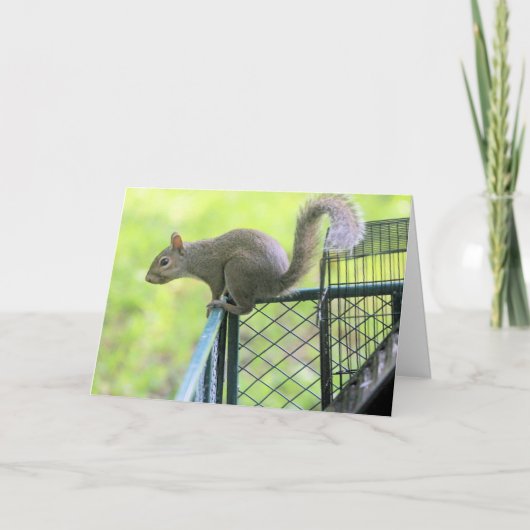 Rot Karte (Vorderseite)