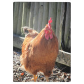 Rot Klemmbrett (Rückseite)