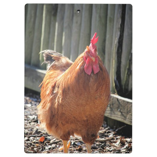 Rot Klemmbrett (Rückseite)