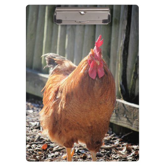 Rot Klemmbrett (Vorderseite)