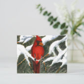 "Rot" Landstraßen Postkarte (Stehend Vorderseite)