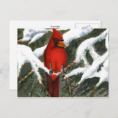 "Rot" Landstraßen Postkarte (Vorne/Hinten)