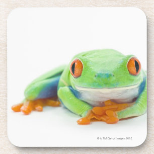 Rot-Mit Augen Baum-Frosch (Agalychnis Callidryas) Untersetzer