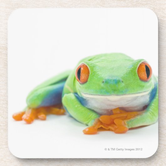 Rot-Mit Augen Baum-Frosch (Agalychnis Callidryas) Untersetzer (Vorderseite)
