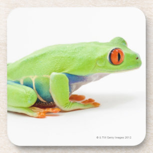 Rot-Mit Augen Baum-Frosch (Agalychnis Callidryas) Untersetzer