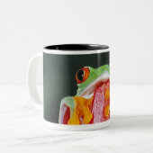 Rot-Mit Augen Baum-Frosch auf Blatt Zweifarbige Tasse (Vorderseite Links)