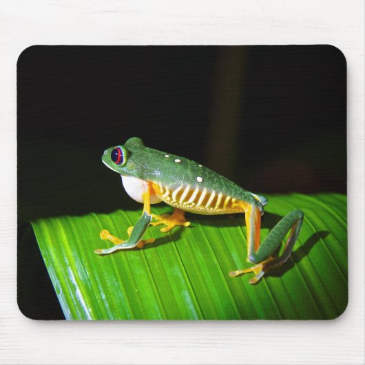 Rot-Mit Augen Baum-Frosch-Fotografie-Mausunterlage Mousepad (Vorne)