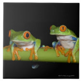 Rot-mit Augen Baum-Frösche (Agalychnis callidryas) Fliese (Vorderseite)