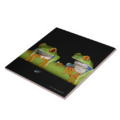 Rot-mit Augen Baum-Frösche (Agalychnis callidryas) Fliese (Seite)