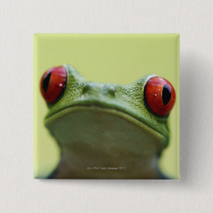Rot-mit Augen Baumfrosch (Agalychnis callidryas) Button