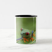 Rot-mit Augen Baumfrosch (Agalychnis callidryas) Zweifarbige Tasse (Mittel)