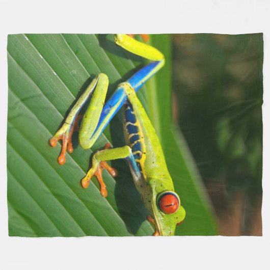 Rot-mit Augen Frosch Baum des tropischen Fleecedecke (Vorderseite (Horizontal))