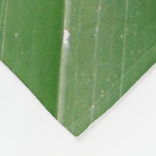 Rot-mit Augen Frosch Baum des tropischen Fleecedecke (Ecke)