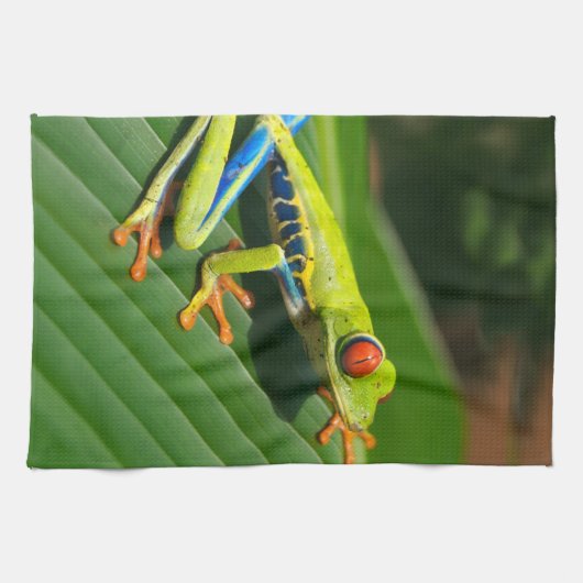 Rot-mit Augen Frosch Baum des tropischen Geschirrtuch (Horizontal)