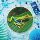 Rot-mit Augen Frosch Baum des tropischen Pappteller (Party)