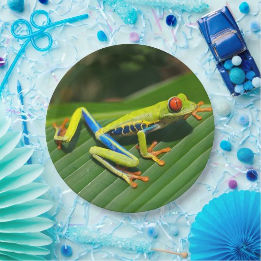 Rot-mit Augen Frosch Baum des tropischen Pappteller (Party)