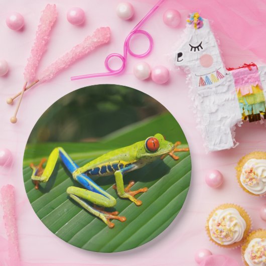 Rot-mit Augen Frosch Baum des tropischen Pappteller (Party)