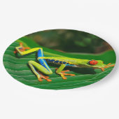 Rot-mit Augen Frosch Baum des tropischen Pappteller (Schrägansicht)