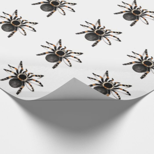 Rot mit einem Band versehene Tarantula-Spinne Geschenkpapier (Ecke)