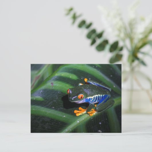 Rot mustert Frosch auf Blatt Postkarte (Stehend Vorderseite)