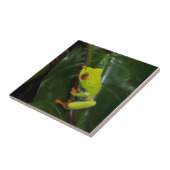 Rot mustert Frosch auf Stamm Fliese (Seite)