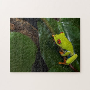 Rot mustert Frosch auf Stamm Puzzle