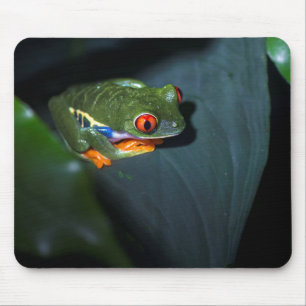 Rot mustert Frosch-Sitzen Mousepad