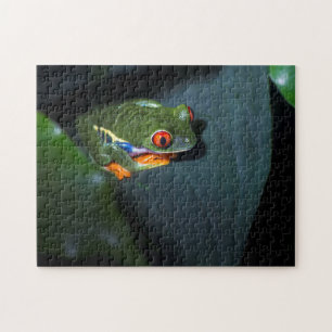 Rot mustert Frosch-Sitzen Puzzle