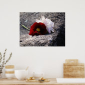 Rot-n-weiß Poster (Küche)