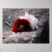 Rot-n-weiß Poster (Vorne)