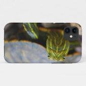Rot-ohrige Schieber-Schildkröte-frontale Ansicht Case-Mate iPhone Hülle (Rückseite (Horizontal))