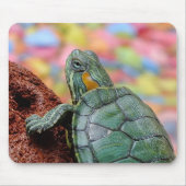 Rot-ohrige Schieberschildkröte Mousepad (Vorne)