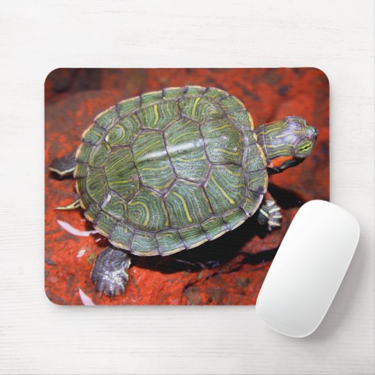 Rot-ohrige Schildkröte Mousepad (Mit Mouse)