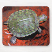 Rot-ohrige Schildkröte Mousepad (Vorne)