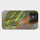 Rot-ohriger Schieber-Schildkröte iPhone Fall Case-Mate iPhone Hülle (Rückseite (Horizontal))
