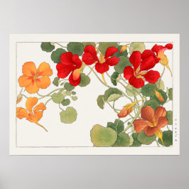 Rot & Orange Nasturtium Blume von Tanigami Konan Poster