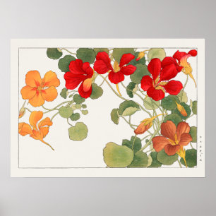 Rot & Orange Nasturtium Blume von Tanigami Konan Poster