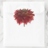 Rot-, Orange- und Gelbdahlia-Aufkleber Runder Aufkleber (Tasche)