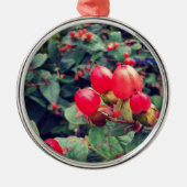 Rot Ornament Aus Metall (Vorne)