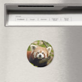 Rot-Panda-004 Magnet (In Situ (Geschirrspüler))