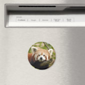 Rot-Panda-005 Magnet (In Situ (Geschirrspüler))