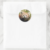 Rot-Panda-005 Runder Aufkleber (Tasche)