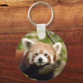 Rot-Panda-005 Schlüsselanhänger (Vorderseite)