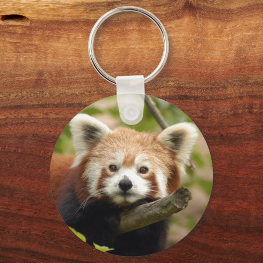 Rot-Panda-007 Schlüsselanhänger (Vorderseite)