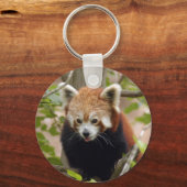 rot-panda-024 schlüsselanhänger (Vorderseite)